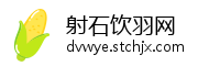 射石饮羽网